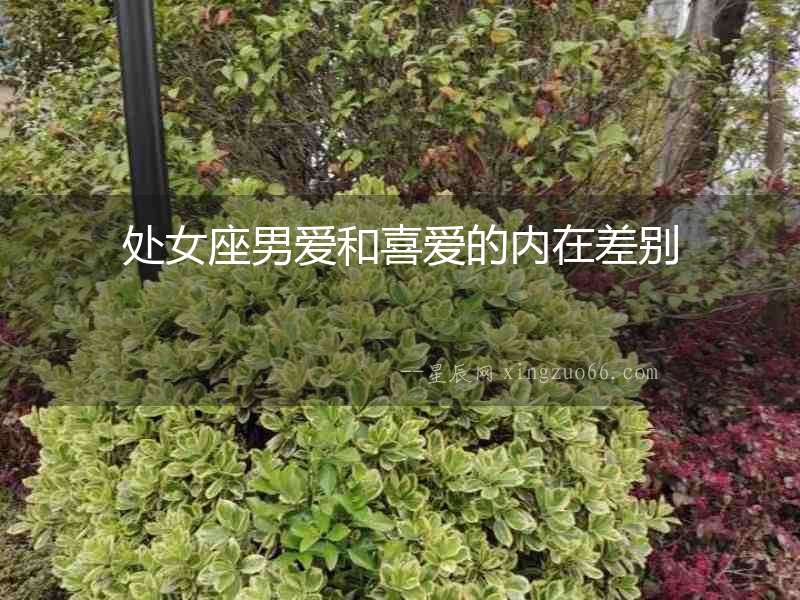 處女座男愛和喜愛的內在差別