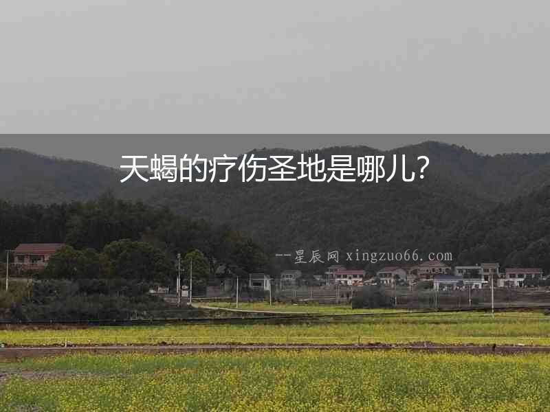 天蝎的療傷圣地是哪兒？