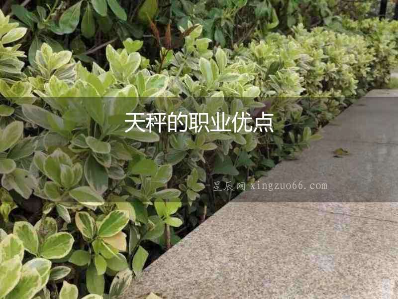 天秤的職業(yè)優(yōu)點