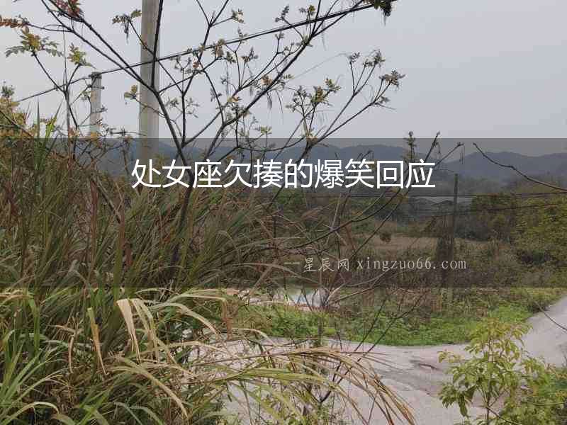 處女座欠揍的爆笑回應(yīng)