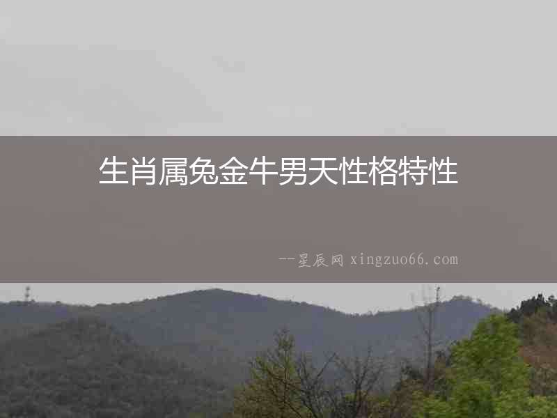 生肖屬兔金牛男天性格特性
