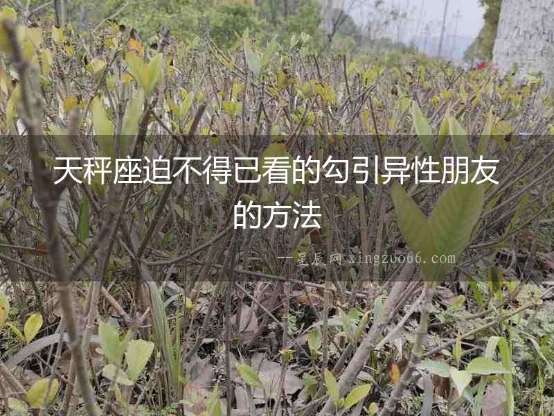 天秤座迫不得已看的勾引異性朋友的方法
