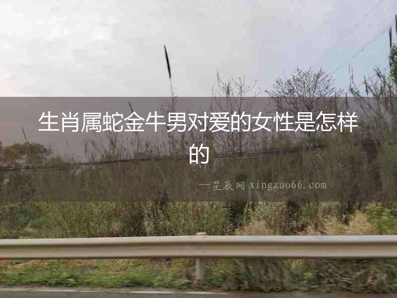 生肖屬蛇金牛男對愛的女性是怎樣的