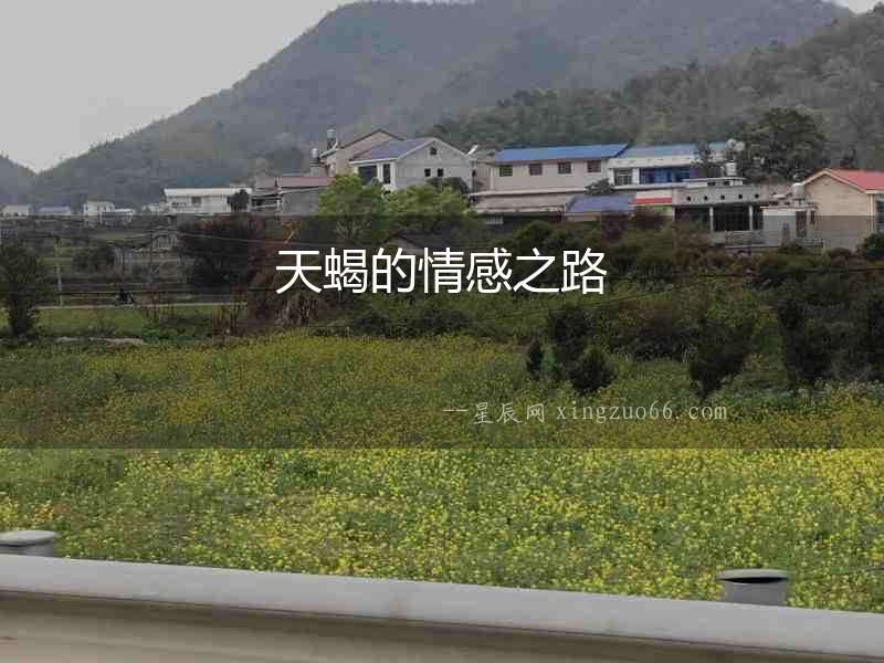 天蝎的情感之路