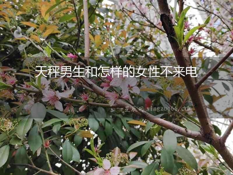 天秤男生和怎樣的女性不來電