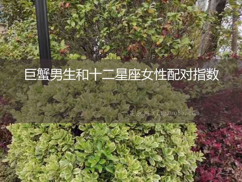 巨蟹男生和十二星座女性配對(duì)指數(shù)