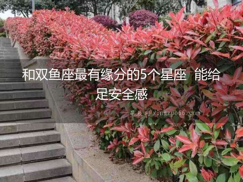 和雙魚座最有緣分的5個星座  能給足安全感