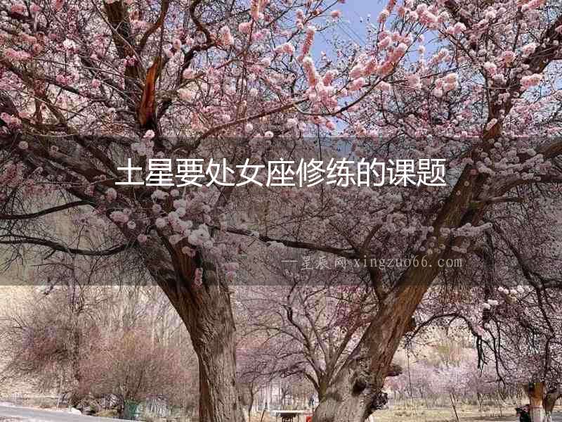 土星要處女座修練的課題