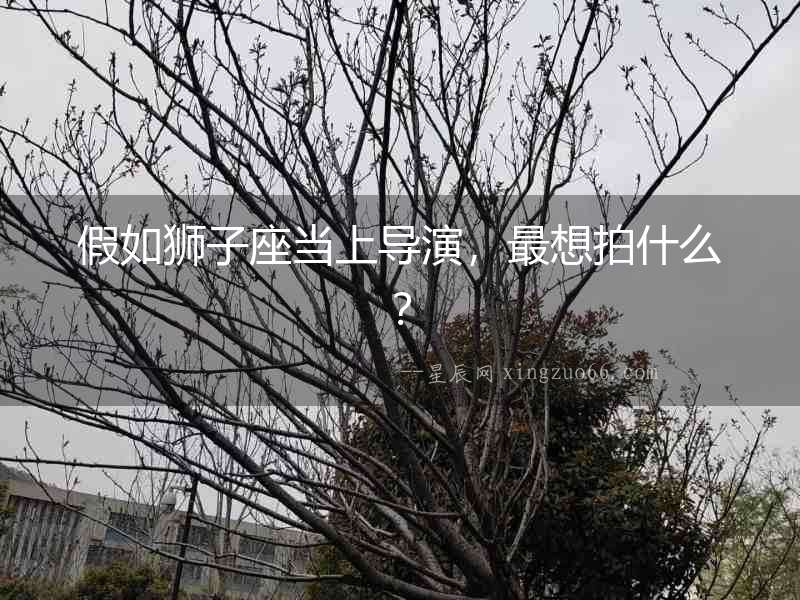 假如獅子座當上導演，最想拍什么？