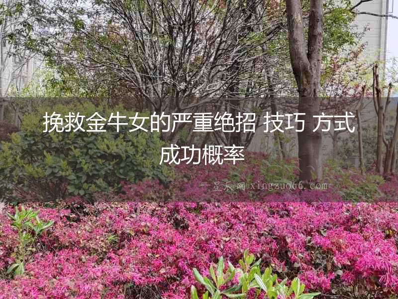 挽救金牛女的嚴重絕招 技巧 方式 成功概率