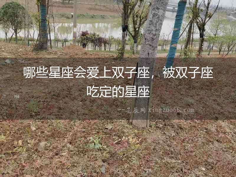 哪些星座會(huì)愛上雙子座，被雙子座吃定的星座