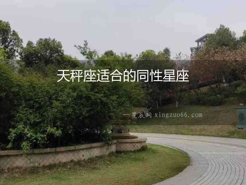 天秤座適合的同性星座