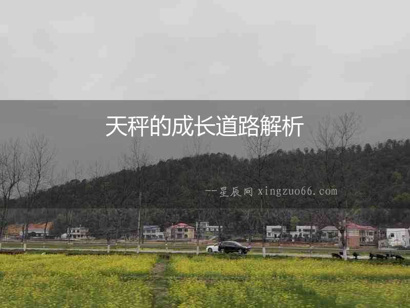 天秤的成長道路解析