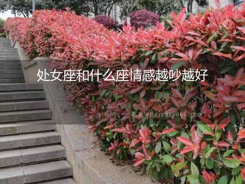 處女座和什么座情感越吵越好