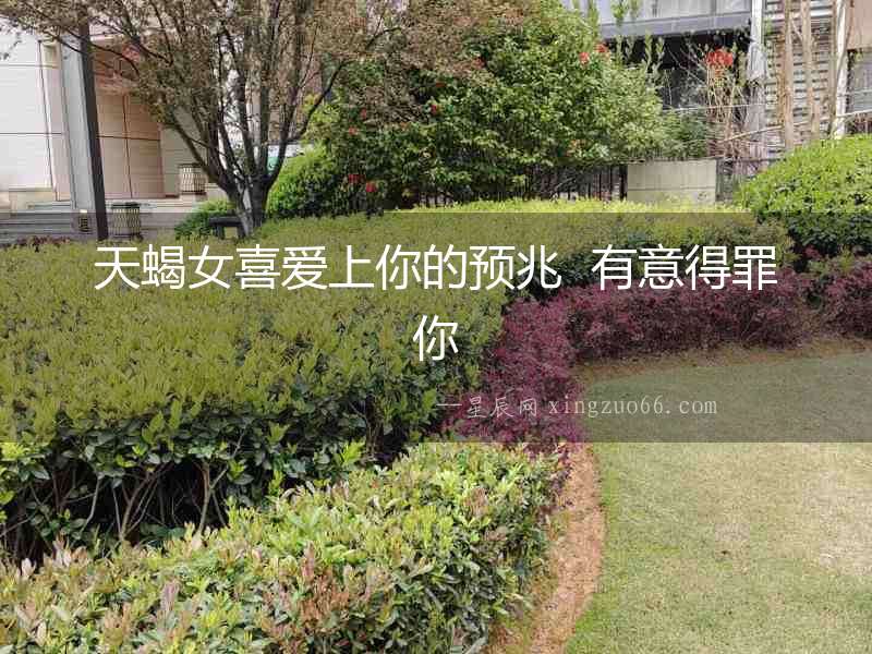天蝎女喜愛上你的預兆  有意得罪你