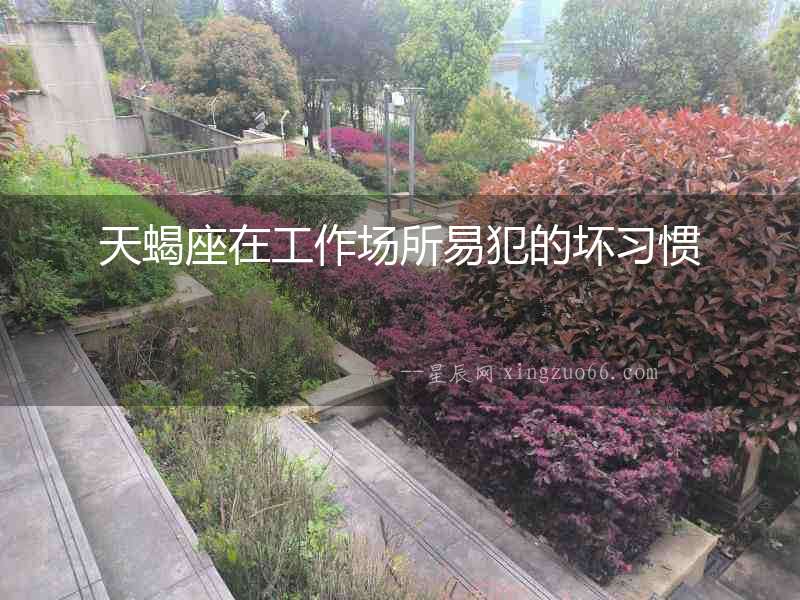 天蝎座在工作場所易犯的壞習(xí)慣
