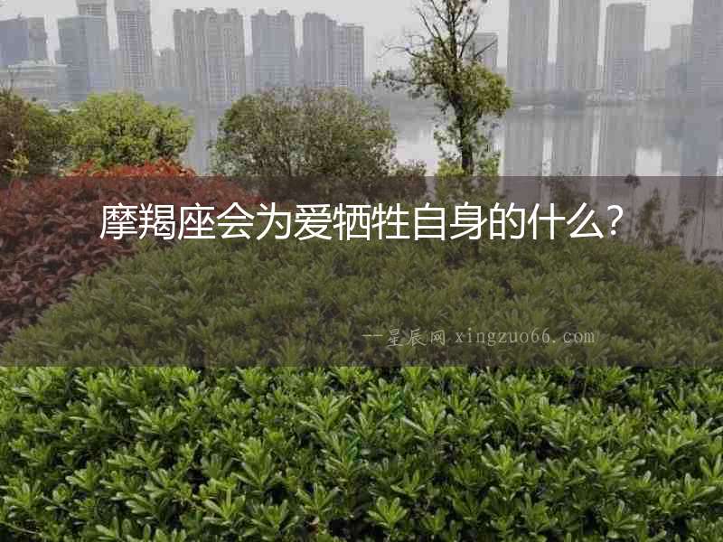 摩羯座會為愛犧牲自身的什么？