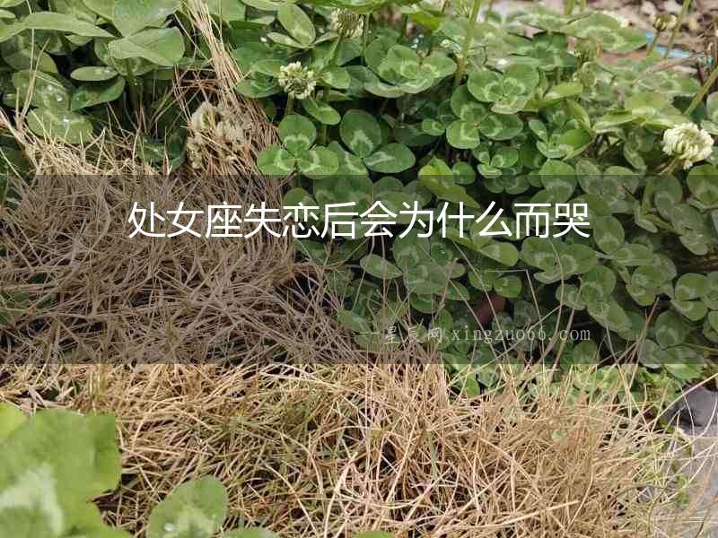處女座失戀后會為什么而哭