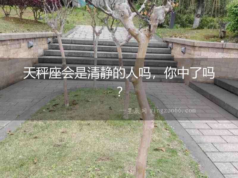天秤座會是清靜的人嗎，你中了嗎？