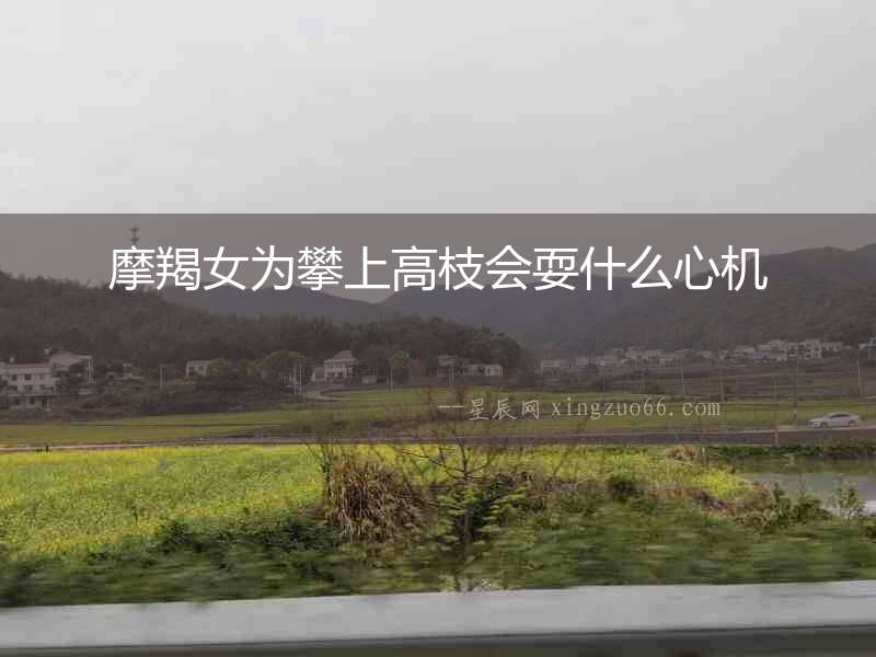 摩羯女為攀上高枝會耍什么心機