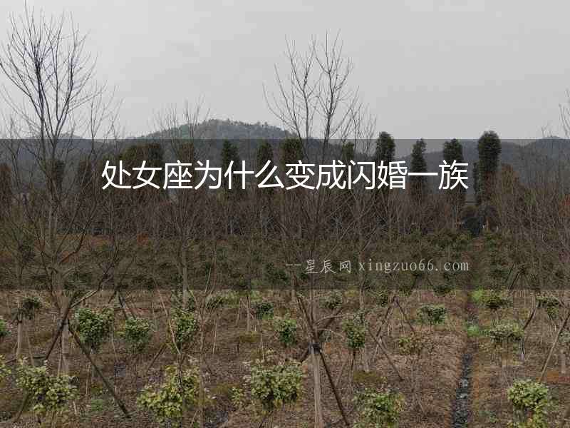 處女座為什么變成閃婚一族