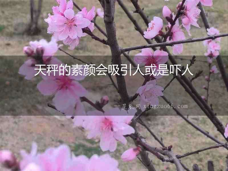 天秤的素顏會吸引人或是嚇人
