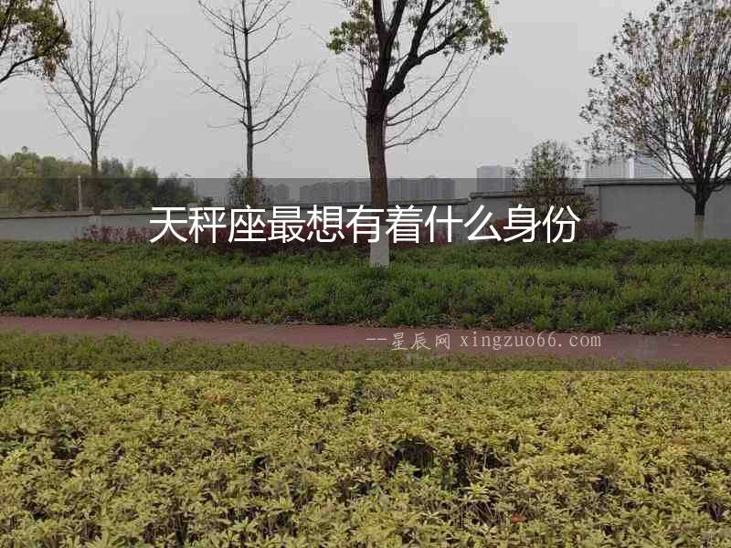 天秤座最想有著什么身份