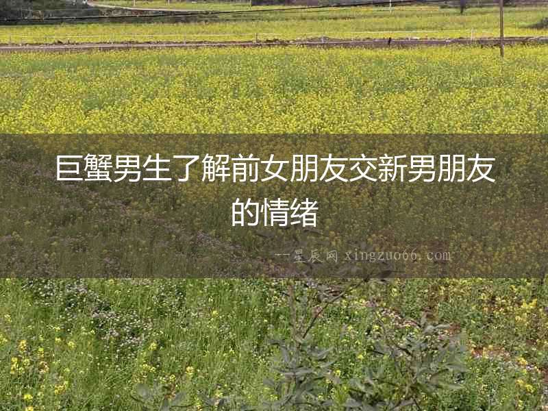 巨蟹男生了解前女朋友交新男朋友的情緒