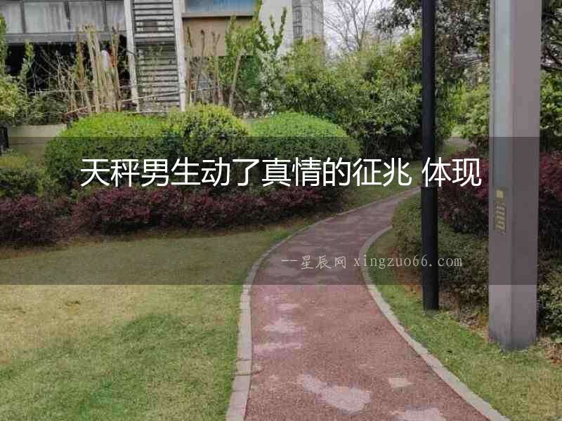 天秤男生動了真情的征兆 體現