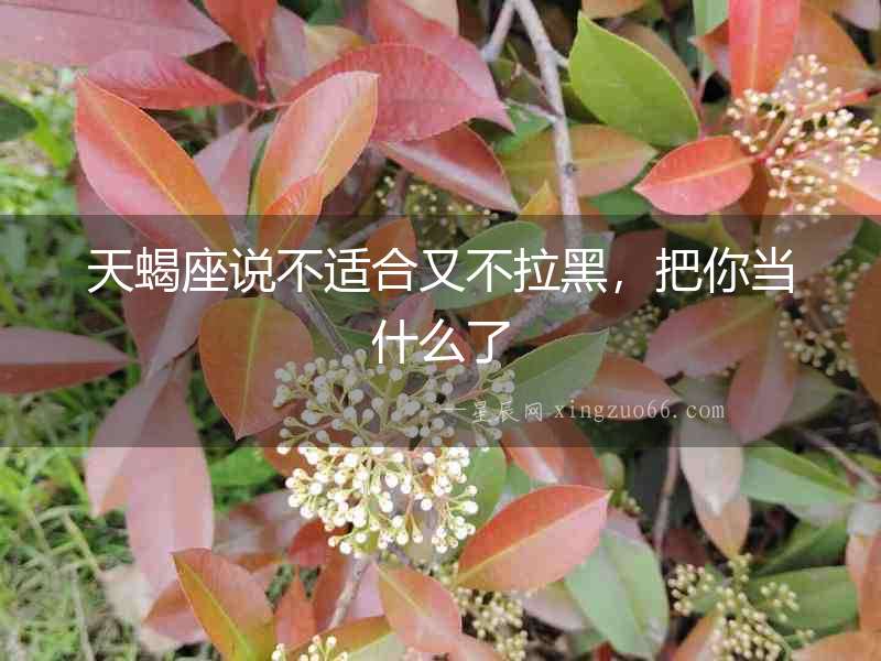 天蝎座說(shuō)不適合又不拉黑，把你當(dāng)什么了