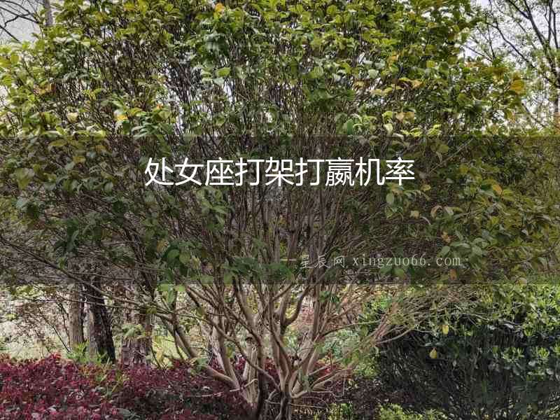 處女座打架打嬴機率