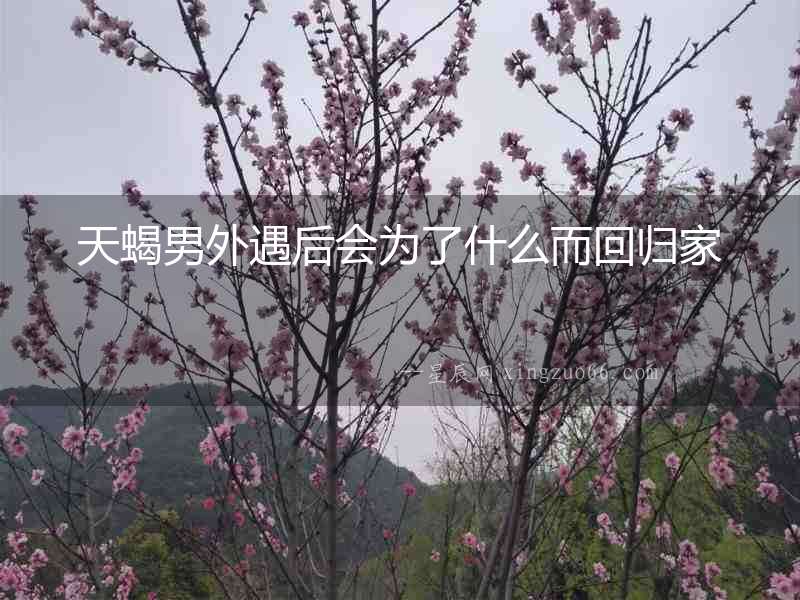 天蝎男外遇后會為了什么而回歸家