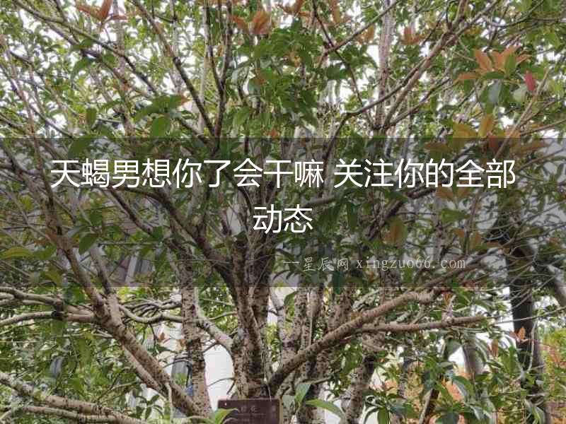 天蝎男想你了會(huì)干嘛 關(guān)注你的全部動(dòng)態(tài)