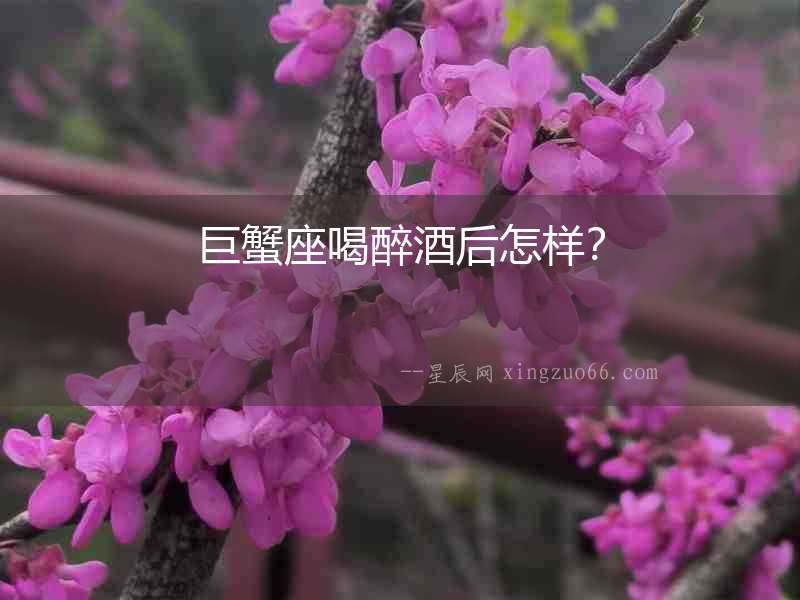 巨蟹座喝醉酒后怎樣？