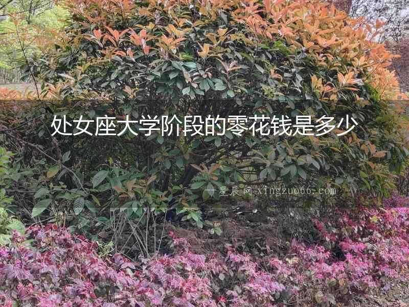 處女座大學(xué)階段的零花錢(qián)是多少