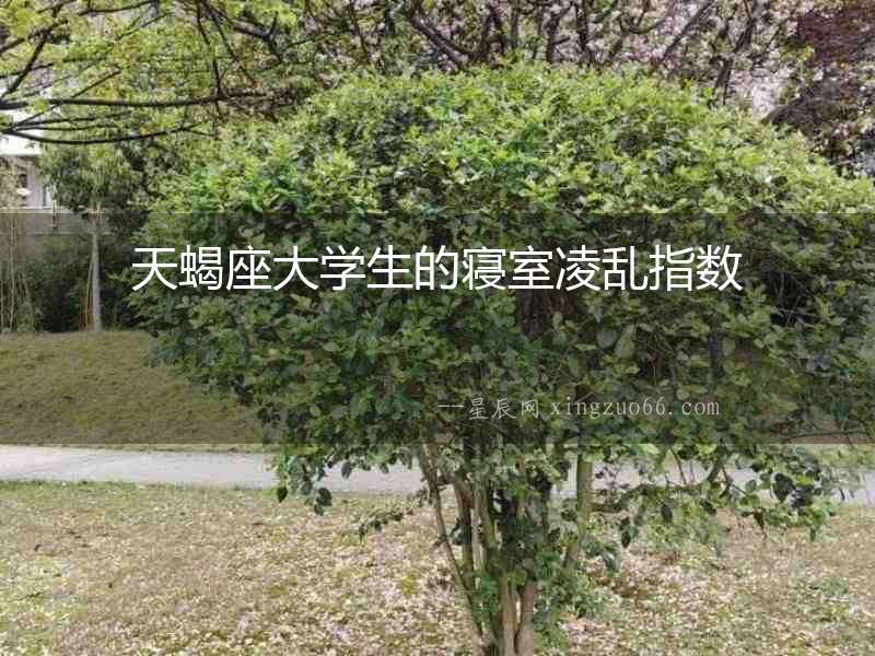 天蝎座大學生的寢室凌亂指數