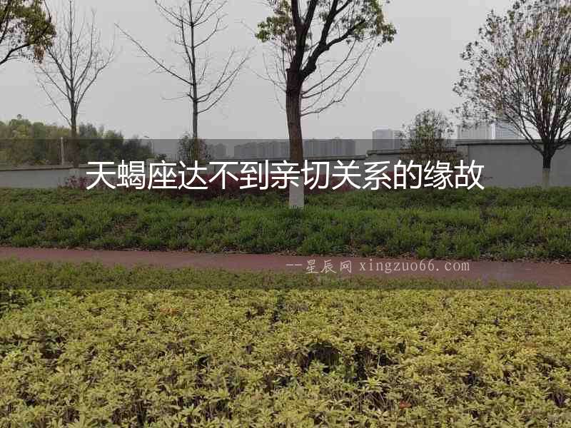 天蝎座達不到親切關系的緣故