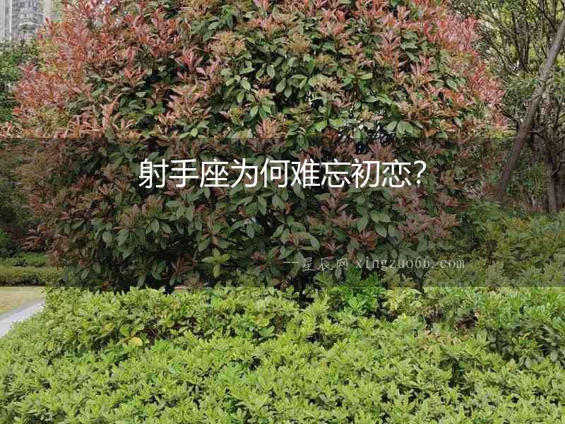 射手座為何難忘初戀？