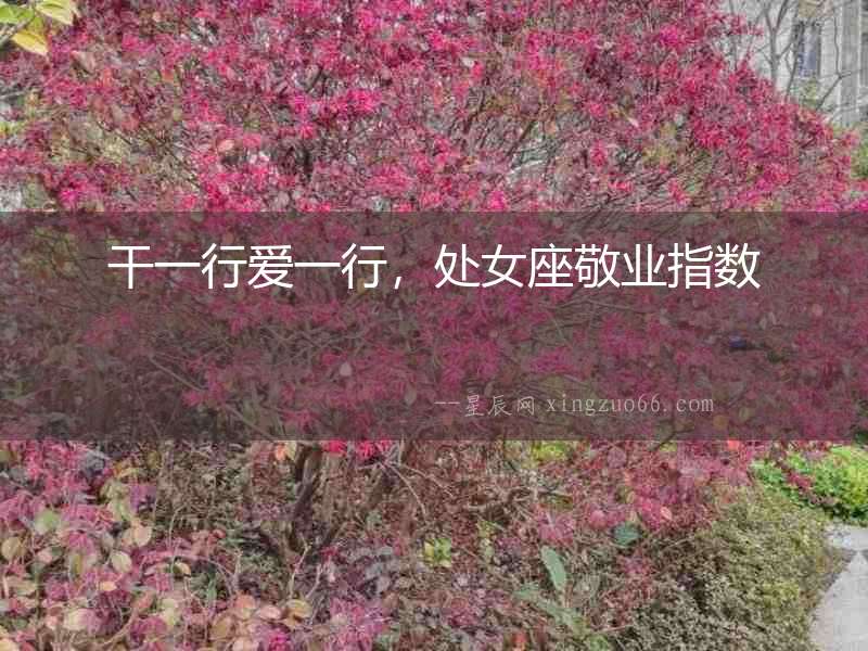 干一行愛一行，處女座敬業指數