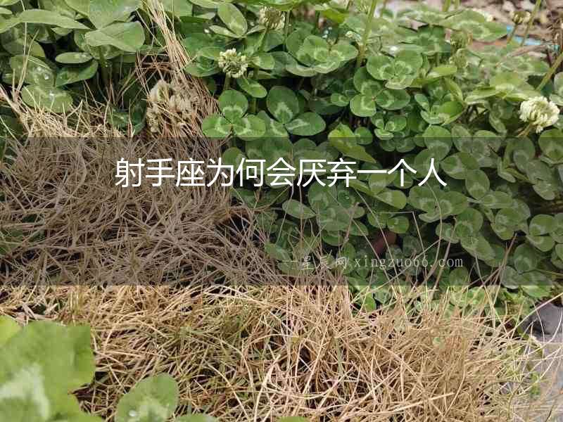 射手座為何會厭棄一個人
