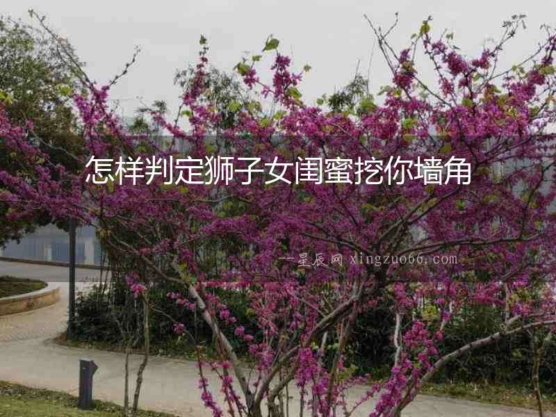 怎樣判定獅子女閨蜜挖你墻角