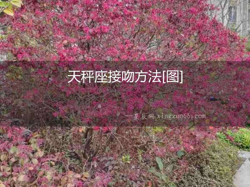 天秤座接吻方法[圖]