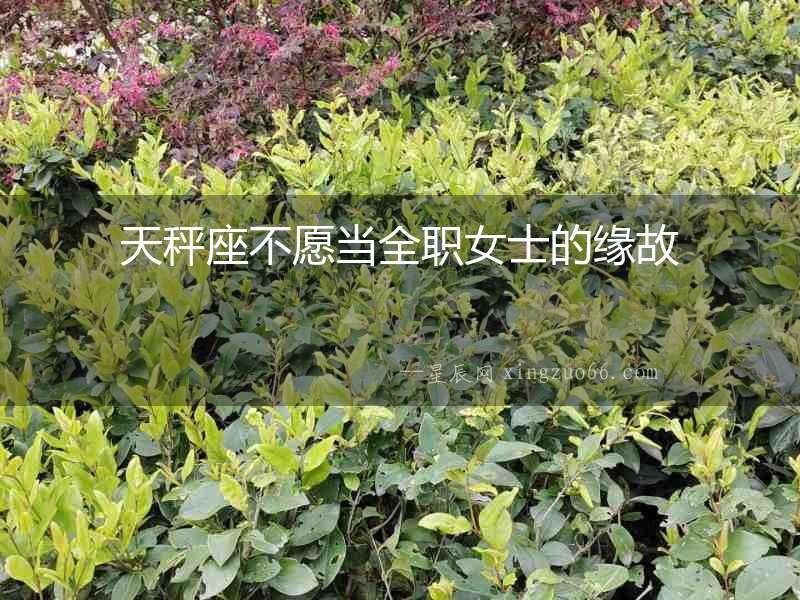 天秤座不愿當全職女士的緣故