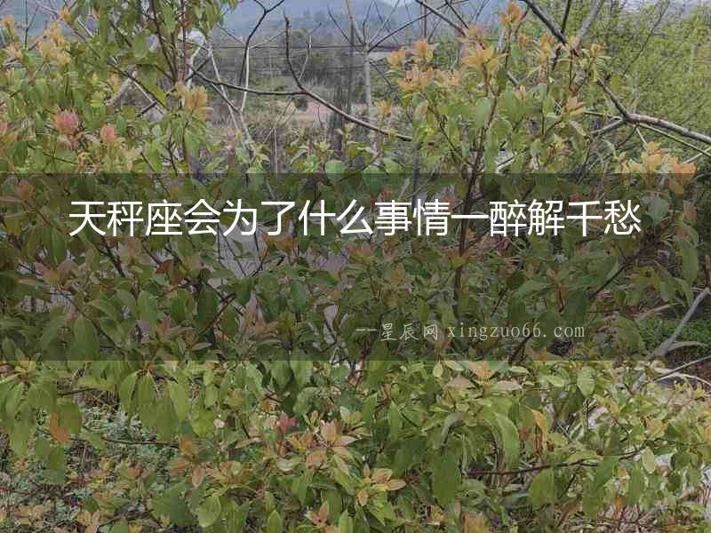 天秤座會為了什么事情一醉解千愁