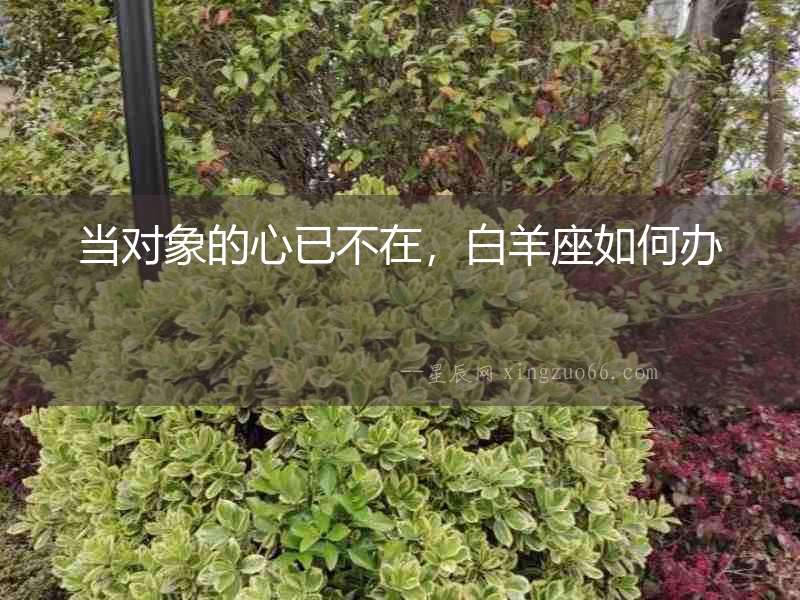當對象的心已不在，白羊座如何辦