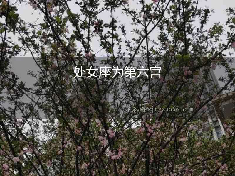 處女座為第六宮