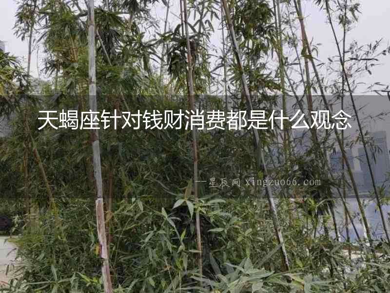 天蝎座針對錢財消費都是什么觀念