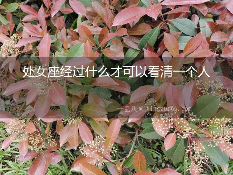 處女座經(jīng)過(guò)什么才可以看清一個(gè)人