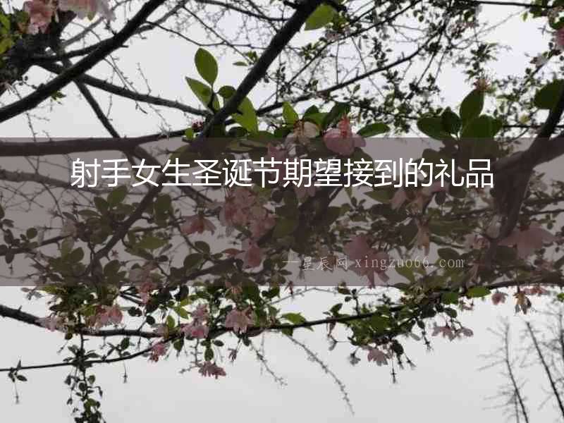 射手女生圣誕節(jié)期望接到的禮品