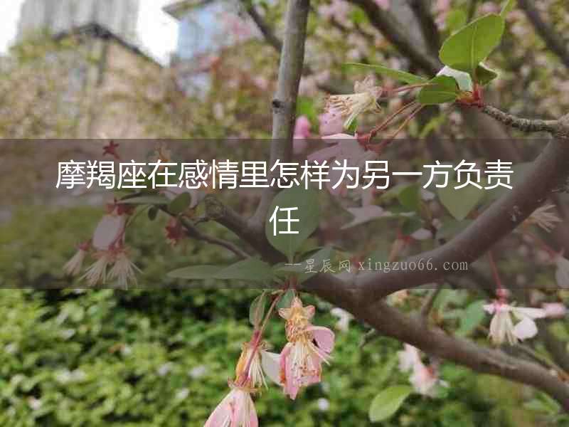 摩羯座在感情里怎樣為另一方負責任